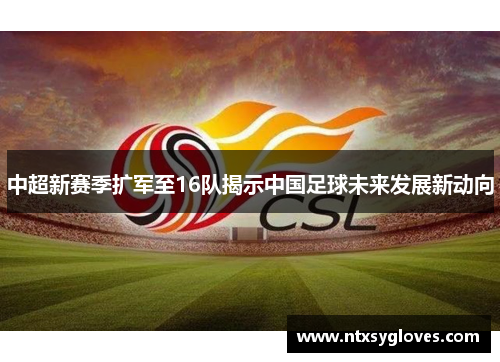 中超新赛季扩军至16队揭示中国足球未来发展新动向