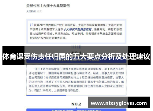 体育课受伤责任归属的五大要点分析及处理建议