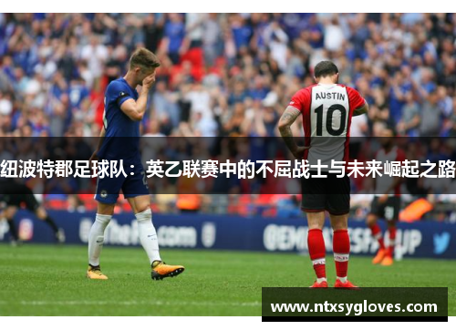 纽波特郡足球队：英乙联赛中的不屈战士与未来崛起之路