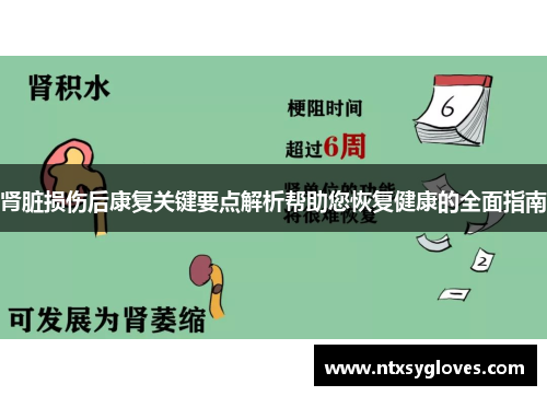 肾脏损伤后康复关键要点解析帮助您恢复健康的全面指南