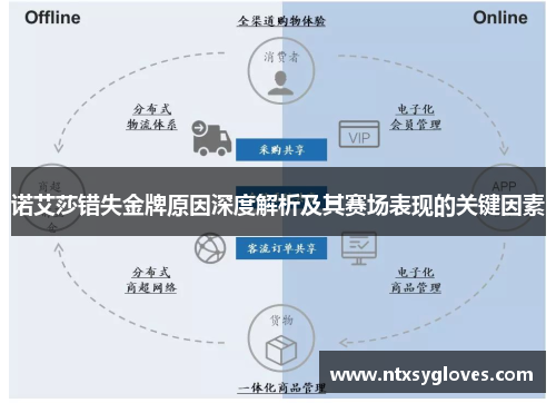 诺艾莎错失金牌原因深度解析及其赛场表现的关键因素