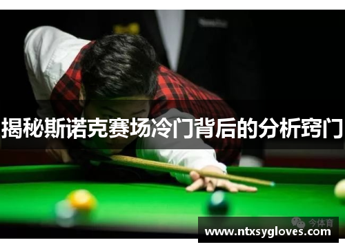 揭秘斯诺克赛场冷门背后的分析窍门